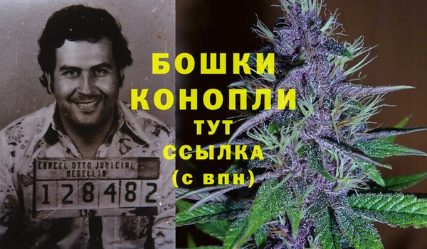 мет Аркадак